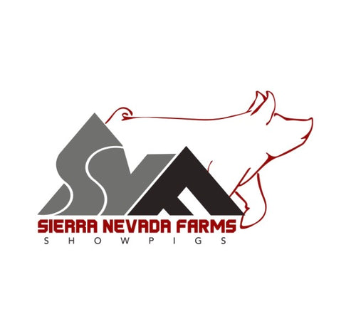 Sierra Nevada Farms Showpigs